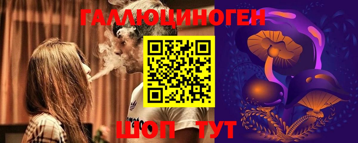Галлюциногенные грибы GOLDEN TEACHER  Вход с VPN  наркотики  Брянск 